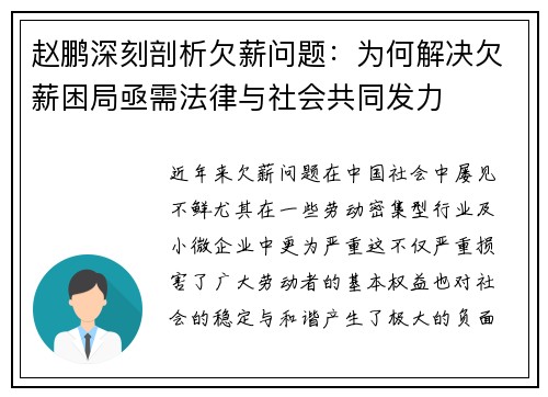 赵鹏深刻剖析欠薪问题：为何解决欠薪困局亟需法律与社会共同发力