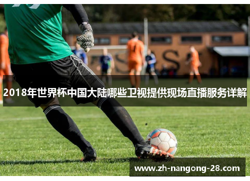 2018年世界杯中国大陆哪些卫视提供现场直播服务详解