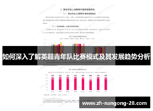 如何深入了解英超青年队比赛模式及其发展趋势分析