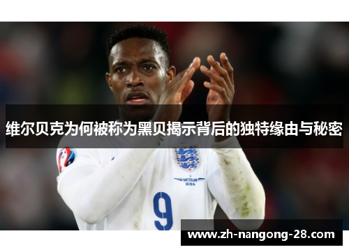 维尔贝克为何被称为黑贝揭示背后的独特缘由与秘密 维尔贝克为何被称为黑贝揭示背后的独特缘由与秘密